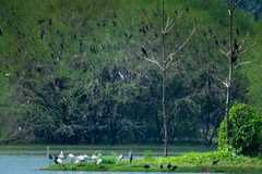 These Tamil Nadu villages celebrated silent Diwali this year; here&rsquo;s why