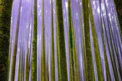 Shh&hellip; world's most silent places