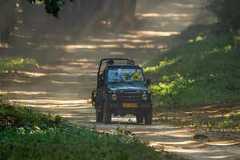 12 Indian national parks for your 2024 bucket list