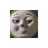 MEL0NXP's avatar