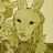 Anonymouse-Geek's avatar