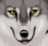 DevinPlayzYT's avatar
