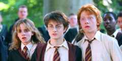 Harry, Ron, and Hermione from Harry Potter.