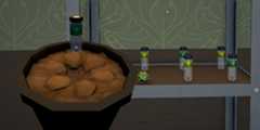 Getting more seeds in Schedule 1 to plant