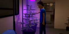 Schedule 1 main character growing drug ingredient plant in trailer