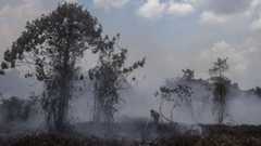 Peatland Fires Break Out in Kampar Village, Riau 