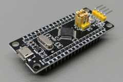 Picture of the Black Pill