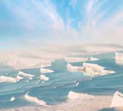 Boutique & Unique Experiences