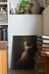 室内のあちこちに置かれた植物。鉢植えのほかに、夏場になると窓は緑のカーテンで覆われる（撮影／Manabu Matsunaga）