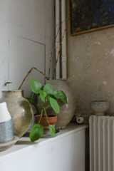 室内のあちこちに置かれた植物。鉢植えのほかに、夏場になると窓は緑のカーテンで覆われる（撮影／Manabu Matsunaga）