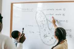 Ace the Basics: Masters in Primary Ed!