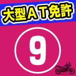 大型自動二輪AT限定教習、1回目。一本橋で落ちまくる。400ccと650ccの違いとは?