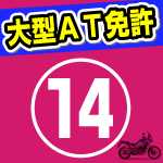 大型自動二輪AT限定教習、６回目。一本橋を１回落下脱輪。