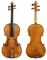 Lord Wilton Guarneri