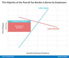 payroll tax burden is borne by employees