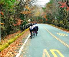 【富士いちライド】