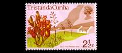 New Zealand flax on a Tristan da Cunha stamp