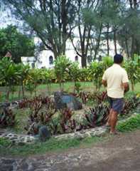 Garden of seven stones, Rarotonga, Cook Islands