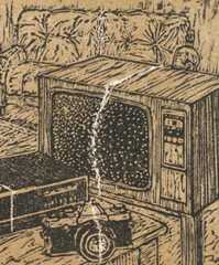 'Matrimonial Properties Act 4', by Denise Copland