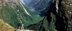 Trampers on the Milford Track