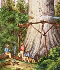 Kauri felling, painted by John Philemon Backhouse, ca 1880