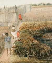 Potato gardens, 1840s