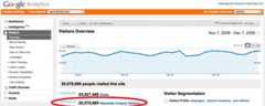 Visitors Overview - Google Analytics (1)