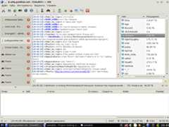 eiskaltdcpp-gtk_chat__tabbar_at_left.png