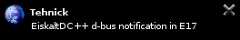eiskaltdcpp-qt_d-bus_notification_in_e17.png