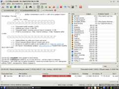 eiskaltdcpp-qt_dc.ozerki.net.png