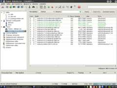 eiskaltdcpp_search__widgets_side_bar.png