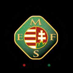 MEFS 1907 logo RGB 01