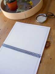 The Botanical Illustrations Workbook – Herbal Monographs and Herb Coloring Book