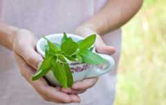 Cooling‌ ‌Recipes‌ ‌for‌ ‌Managing‌ ‌Pitta‌ ‌Dosha‌ | Herbal Academy | If you are in search of cooling recipes and tips for managing pitta dosha, here are some delicious recipes to help you in the summer months.