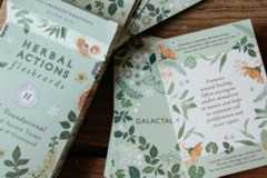 Herbal Actions Flashcards Edited (2)