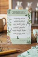 Herbal Actions Flashcards Edited (4)