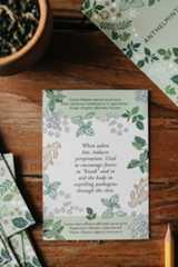 Herbal Actions Flashcards Edited (5)