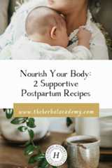 Nourish Your Body: 2 Supportive Postpartum Recipes | Herbal Academy | These nourishing and supportive recipes are great to have on hand to get the nutrients needed during postpartum care.