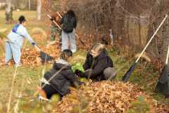 Hofstra University’s annual Shake-A-Rake event brought students from different organizations together to help the community.