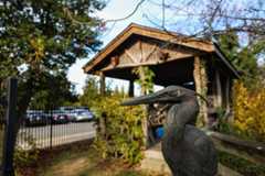 Studies show that spending time in nature helps with improved brain activity and sleep.