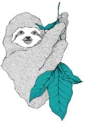 sloth-image