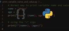 How to Print Variable Name and Value in Python