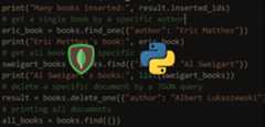 How to Use MongoDB Database in Python
