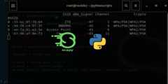 How to Build a WiFi Scanner in Python using Scapy