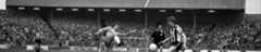 shed_hero (7)