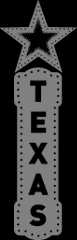 The Texas Theatre