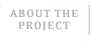 About the Project