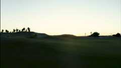 Field Guide: Costa Palmas Fairway