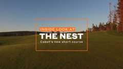 An inside look at 'The Nest'