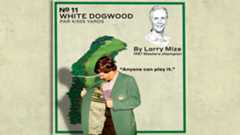 Masters holes: Augusta National's par-4 11th hole, explained by Larry Mize